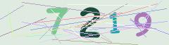 CAPTCHA validation image