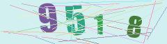 CAPTCHA validation image