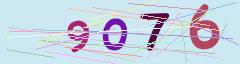 CAPTCHA validation image