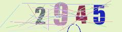 CAPTCHA validation image