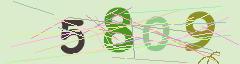 CAPTCHA validation image