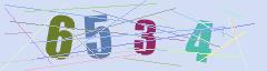 CAPTCHA validation image