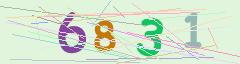 CAPTCHA validation image