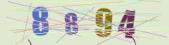 CAPTCHA validation image