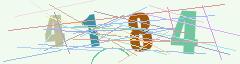 CAPTCHA validation image