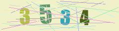CAPTCHA validation image