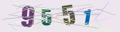 CAPTCHA validation image