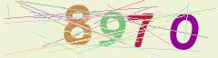 CAPTCHA validation image