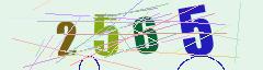 CAPTCHA validation image