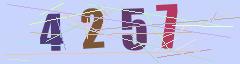 CAPTCHA validation image