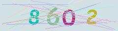 CAPTCHA validation image