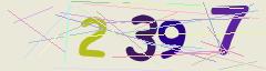 CAPTCHA validation image