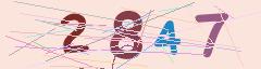 CAPTCHA validation image