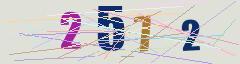 CAPTCHA validation image