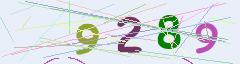 CAPTCHA validation image