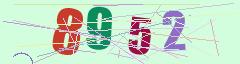 CAPTCHA validation image