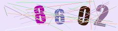 CAPTCHA validation image