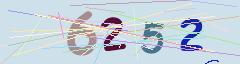 CAPTCHA validation image