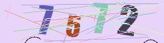 CAPTCHA validation image