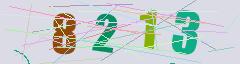 CAPTCHA validation image