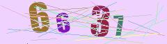 CAPTCHA validation image