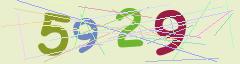 CAPTCHA validation image