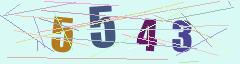 CAPTCHA validation image