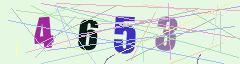 CAPTCHA validation image