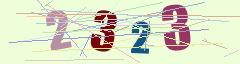 CAPTCHA validation image