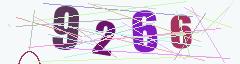 CAPTCHA validation image