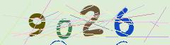 CAPTCHA validation image