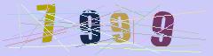 CAPTCHA validation image