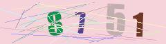 CAPTCHA validation image