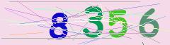 CAPTCHA validation image