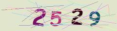 CAPTCHA validation image
