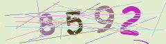 CAPTCHA validation image