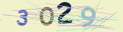 CAPTCHA validation image
