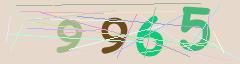 CAPTCHA validation image