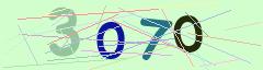 CAPTCHA validation image