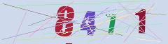 CAPTCHA validation image