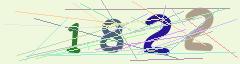 CAPTCHA validation image