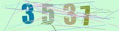 CAPTCHA validation image