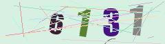 CAPTCHA validation image