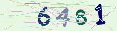 CAPTCHA validation image