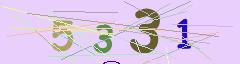CAPTCHA validation image