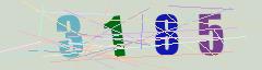 CAPTCHA validation image