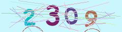 CAPTCHA validation image