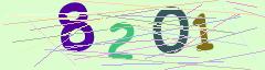 CAPTCHA validation image
