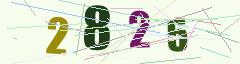 CAPTCHA validation image
