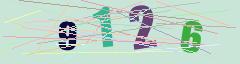 CAPTCHA validation image